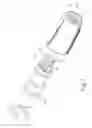 Fig. 02 - COUPLING STRUCTURE OF SPRAY HEAD AND CONNECTOR OF WATER SPRAY GUN