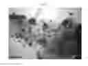 Fig. 08 - Method of forming silver nanoparticles and a use thereof