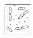 Fig. 01 - Programmable assembly and welding of metallic nanoparticles into discrete nanostructures