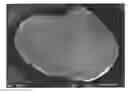 Fig. 01 - Expanded pellets and method for manufacturing molded components using them