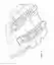 Fig. 02 - Article, process and assembly for forming a rigid article encapsulating an oriented glass strand substrate