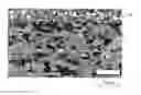 Fig. 01 - Aluminium composite material with AlMgSi core layer