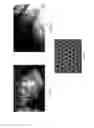 Fig. 02 - Graphene surface functionality transfer