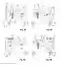 Fig. 06 - Print head support assembly and inkjet printer comprising such assembly