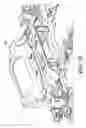 Fig. 09 - Lateral slide removable seat