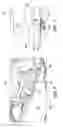 Fig. 07 - Two piece step garnish
