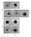 Fig. 02 - METHODS FOR PRODUCING GRAPHENE WITH TUNABLE PROPERTIES BY A MULTI-STEP THERMAL REDUCTION PROCESS