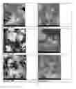 Fig. 09 - Composite ceramic composition and method of forming same