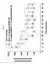 Fig. 04 - Antagonists of the kappa opioid receptor