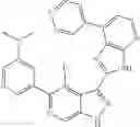 Fig. 586 - 3-(3H-imidazo[4,5-B]pyridin-2-yl)-1H-pyrazolo[3,4-C]pyridine and therapeutic uses thereof