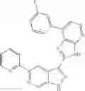 Fig. 960 - 3-(3H-imidazo[4,5-B]pyridin-2-yl)-1H-pyrazolo[3,4-C]pyridine and therapeutic uses thereof