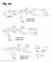 Fig. 09 - TUBULYSIN COMPOUNDS, METHODS OF MAKING AND USE
