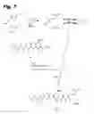 Fig. 11 - TUBULYSIN COMPOUNDS, METHODS OF MAKING AND USE