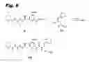 Fig. 12 - TUBULYSIN COMPOUNDS, METHODS OF MAKING AND USE