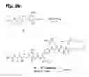 Fig. 14 - TUBULYSIN COMPOUNDS, METHODS OF MAKING AND USE