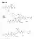 Fig. 17 - TUBULYSIN COMPOUNDS, METHODS OF MAKING AND USE