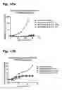 Fig. 22 - TUBULYSIN COMPOUNDS, METHODS OF MAKING AND USE