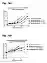 Fig. 24 - TUBULYSIN COMPOUNDS, METHODS OF MAKING AND USE