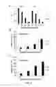 Fig. 09 - Antibody binding specifically to pre-S1 of hepatitis B virus and use of the antibody