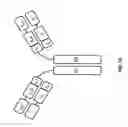 Fig. 02 - MULTIVALENT ANTIGEN-BINDING PROTEINS