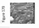 Fig. 167 - Clay soil site preparation for building structures