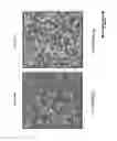 Fig. 197 - Clay soil site preparation for building structures