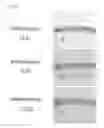 Fig. 05 - Method for preparing a three-dimensionally cultured skin comprising dermis and epidermis, and the cultured skin made therefrom