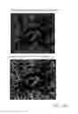 Fig. 14 - Arrays of microparticles and methods of preparation thereof
