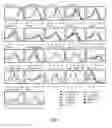 Fig. 02 - Serial quantitative PCR assay for detection, species-discrimination and quantification of spp. in human samples