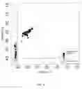 Fig. 09 - Serial quantitative PCR assay for detection, species-discrimination and quantification of spp. in human samples