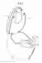 Fig. 02 - Flush toilet having a rim spout structure