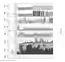 Fig. 11 - Estimation of formation properties based on borehole fluid and drilling logs