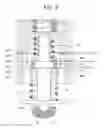 Fig. 09 - Fuel injection valve