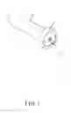 Fig. 02 - SHEAR SCREW NAIL
