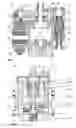 Fig. 02 - Electromagnetic active brake