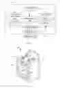Fig. 02 - DESKTOP VAPORIZER