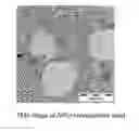 Fig. 01 - COMPOSITIONS FOR DETECTING ANALYTES BY MAGNETIC RESONANCE IMAGING