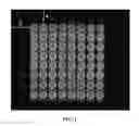 Fig. 02 - Sensitive ELISA for disease diagnosis on surface modified poly(methyl methacrylate) (PMMA) microfluidic microplates