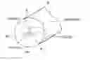 Fig. 01 - Coupled multi-core optical fiber