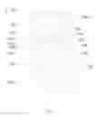 Fig. 06 - Bezel-free display device