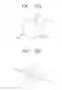 Fig. 11 - DISPLAY APPARATUS