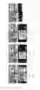 Fig. 07 - Configuration and operation of display devices including content curation