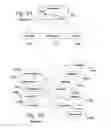 Fig. 02 - Community Led Open Innovation