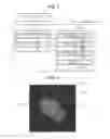 Fig. 02 - Image processing method and image processing program
