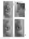 Fig. 07 - IMAGE ANALYSIS FOR DETERMINING CHARACTERISTICS OF GROUPS OF INDIVIDUALS