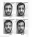 Fig. 09 - IMAGE ANALYSIS FOR DETERMINING CHARACTERISTICS OF GROUPS OF INDIVIDUALS