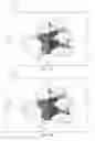 Fig. 06 - System and method for modeling a biopsy specimen