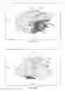 Fig. 09 - System and method for modeling a biopsy specimen
