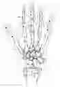 Fig. 01 - Glove for use in collecting data for sign language recognition