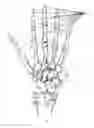 Fig. 02 - Glove for use in collecting data for sign language recognition